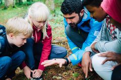 Barn och vuxen som tittar på en skalbagge i den vuxnes handflata.