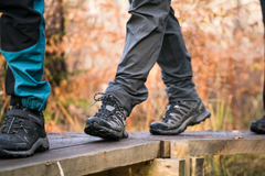 Friluftsfrämjandet vandring