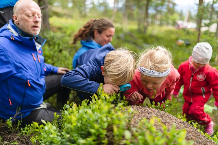 Barn och vuxna som leker tillsammans utomhus