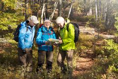 tre personer på en skogsstig