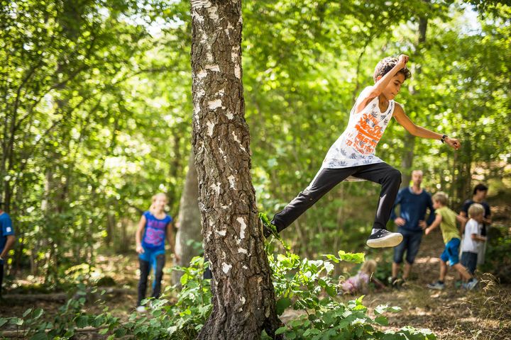 Naturparkour