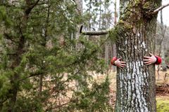 Naturens läkande kraft är belagd av forskare i många länder. Ändå används den mycket lite i såväl vård som rehabilitering.
