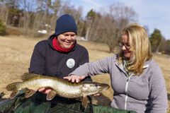 Skolminister Lotta Edholm klappar en gädda med hjälp från Sportfiskarnas Victor Sandberg