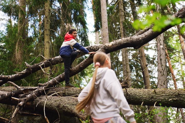 Barn som leker i skogen.