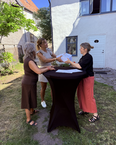 Vasiliki Tsouplaki, Vänsterpartiet tog emot Svenskt Friluftslivs Upprop för friluftslivet och de 50 509 underskrifterna under Almedalsveckan på Gotland.