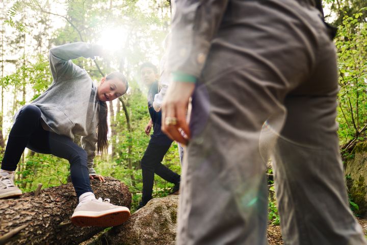 Barn som leker i skogen