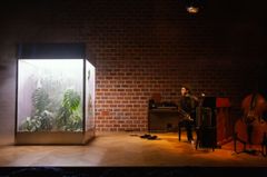 En man sitter vid ett piano bredvid en glasbur fylld med växter.