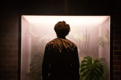 En person står framför en upplyst box med stora gröna växter bakom sig.