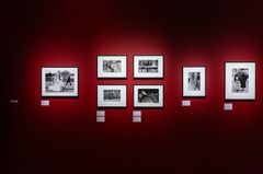 En röd vägg med sju inramade svartvita fotografier upphängda i två rader.