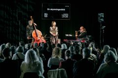 En musikensemble uppträder på scen inför en publik.