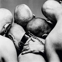 Ohlsons foto Skallarna