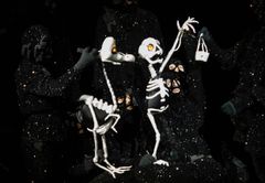 Dead as a Dodo (USA/Norge) är del av dockteaterfestivalen Pop up Puppets som arrangeras av Marionetteatern 20-23 augusti.
