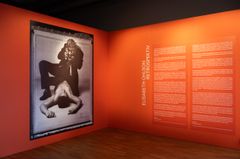 Elisabeth Ohlsons bilder i Galleri 3