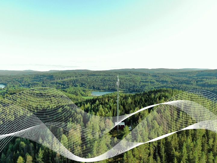 Bild på mast i skog