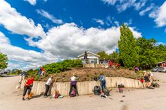 SGF WWF Sigtuna GK plantering Foto Ola Jennersten Medlemmar på Sigtuna GK planterar blommor som gynnar bin och andra pollinerande insekter.