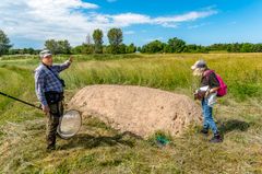 SGF WWF Sigtuna GK sandblotta Foto Ola Jennersten Sandblotta på Sigtuna GK, gynnar de biarter som lever i marken. Klubbens dedikerade arbete för biologisk mångfald har gett dem SGF:s och SGA:s Natur- och miljöpris 2023.