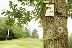 SGF WWF golfbana fågelholk Foto Björn Andersson I en enkätundersökning 2022 uppgav 97 % av alla golfklubbar att de gör insatser för biologisk mångfald. Bland annat bihotell, död ved, fågelholkar och blomstrande ruffar.