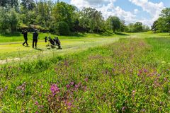 SGF WWF Sigtuna GK utslag och blommor Foto Ola Jennersten Två golfspelare slår ut på Sigtuna Golfklubb. Bredvid dem syns en blomstrande ruff som bidrar till biologisk mångfald. Deras arbete har lett till att de fått SGA:s och SGF:s Natur- och miljöpris 2023.