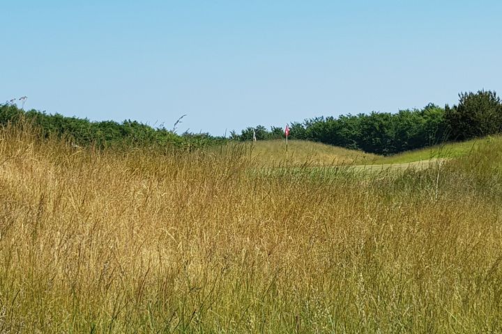Högruff Degeberga Widtsköfle Golfklubb Högruff Degeberga Widtsköfle Golfklubb