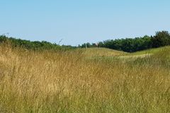 Högruff Degeberga Widtsköfle Golfklubb Högruff Degeberga Widtsköfle Golfklubb