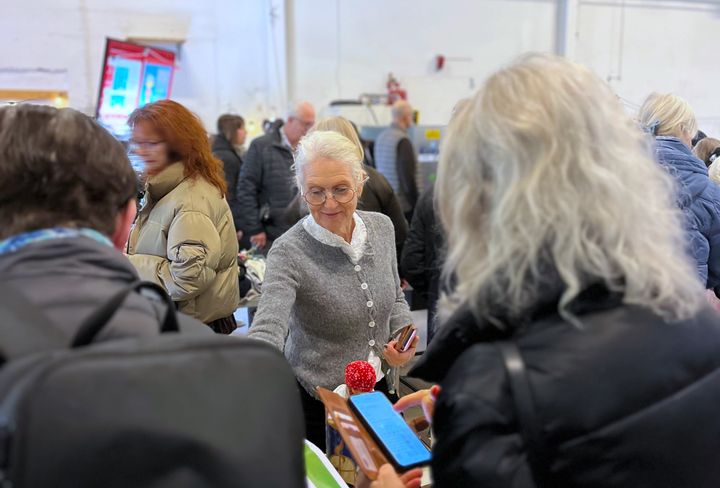 En grupp personer på en marknad, en äldre kvinna i grå kofta letar bland sakerna på ett loppisbord