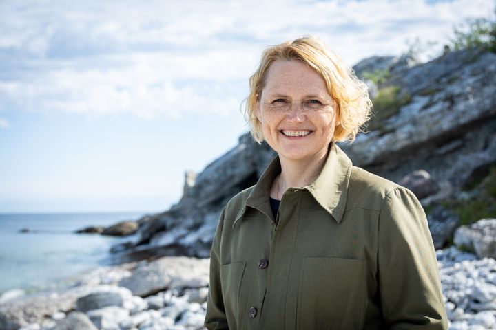 Partiledare Anna-Karin Hatt.