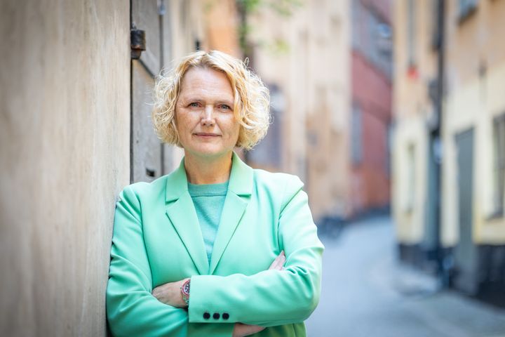 Partiledare Anna-Karin Hatt.