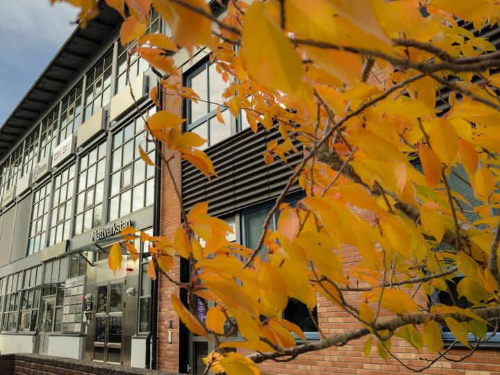 Mattverkstan i Ebbepark