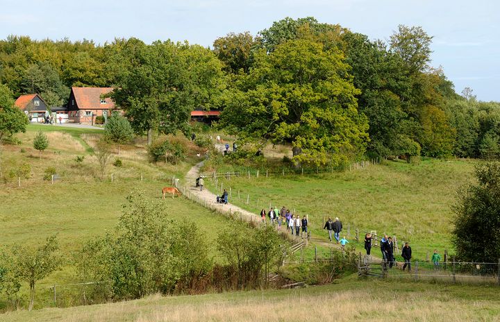 Ett grönskande landskap och besökare som promenerar längs en stig, och längst bort Östarps gästgivaregård där sommarcaféet finns.