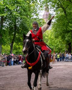 Ryttare till häst klädd i tidstypisk utrustning.
