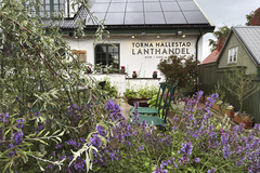 Torna Hällestad Lanthandel har sedan starten 2014 utvecklats till ett populärt besöksmål och mötesplats med butik, bageri, café och restaurang, konferenser och konserter.