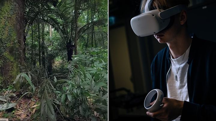 Bild ifrån en av videorna som eleverna fick använda (t.v.), och elev som testar VR-utrustning. FOTO: HiG.