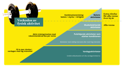 Rekommenderad veckodos av fysisk aktivitet