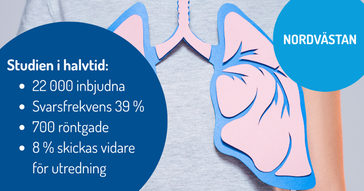 Montage av bild på lungor och cirklar med texten "Studien i halvtid: 22 000 inbjudna, svarsfrekvens 39 %, 700 röntgade, 8 % skickas vidare för utredning" samt "Nordvästan".