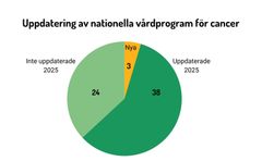 Cirkeldiagram. Knappt 60 procent av dokumenten är uppdaterade under året