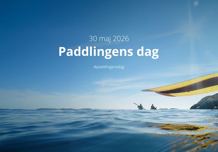 Bild med texten "30 maj 2026, Paddlingens dag, #paddlingensdag" mot en bakgrund av ett par som paddlar på havet under en klarblå himmel.
