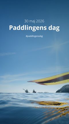 SoMe 1080x1920 px tom