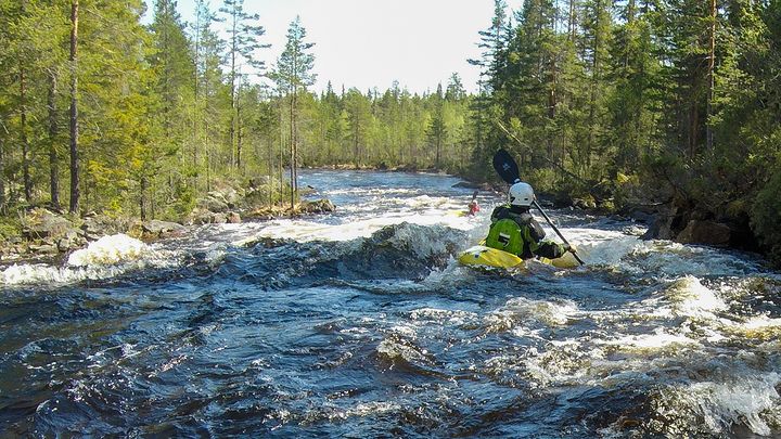 Forspaddlare i en strömmande å omgiven av skog.