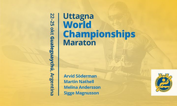 Grafik med svenska uttagna till VM i kanotmaraton i Argentina: Arvid Söderman, Martin Nathell, Melina Andersson och Sigge Magnusson.