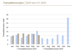 Stapeldiagram över transaktionsvolym från januari 2024 till juni 2025. Volymen är högst i juni och december 2024.