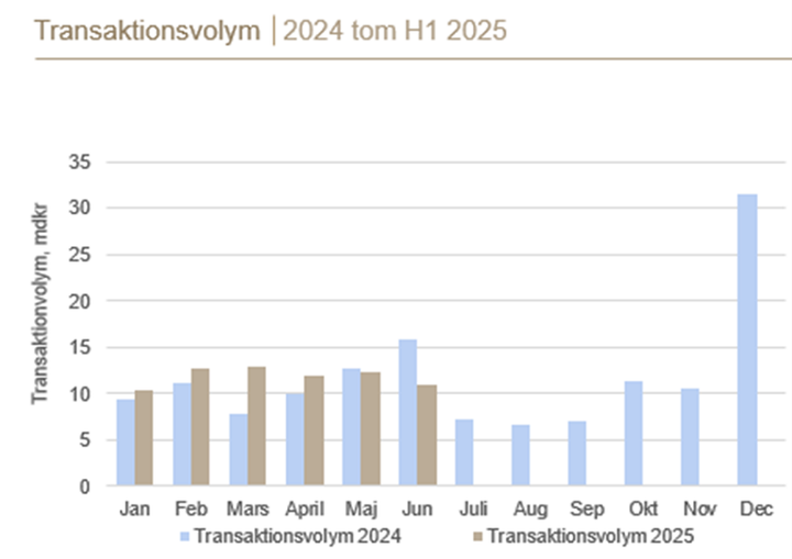 Stapeldiagram över transaktionsvolym från januari 2024 till juni 2025. Volymen är högst i juni och december 2024.