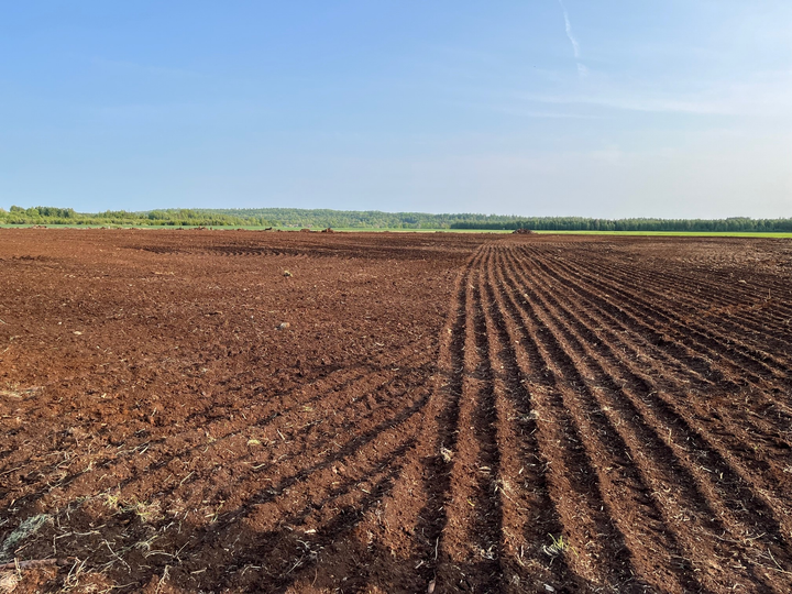En plöjd åker med raka jordfåror under en klar blå himmel.