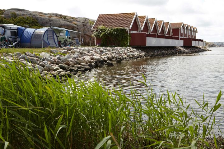 2025 går till historien som ett av de bästa åren någonsin för Sveriges campingplatser. Bakom siffrorna finns bland annat en rekordstark septembermånad.