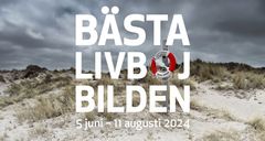 NewsletterHeader 5 juni 835x445