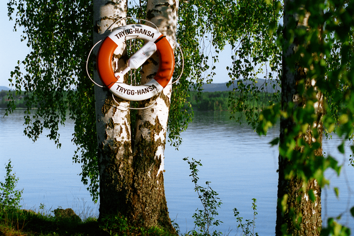 Trygg-Hansas hemförsäkringar är nu märkta med Bra Miljöval.