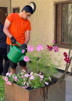 En ungdom i orange t-shirt vattnar i en blomlåda utanför ett hus.