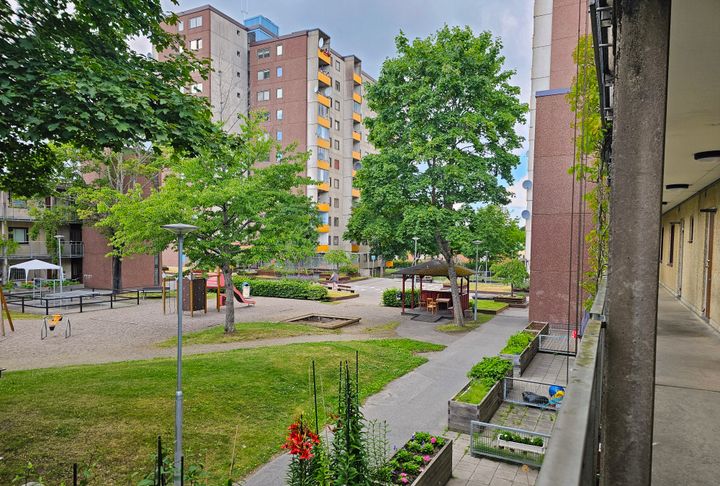 En lummig gård med gräs, träd, lekplats och sittplatser omgiven av höghus.
