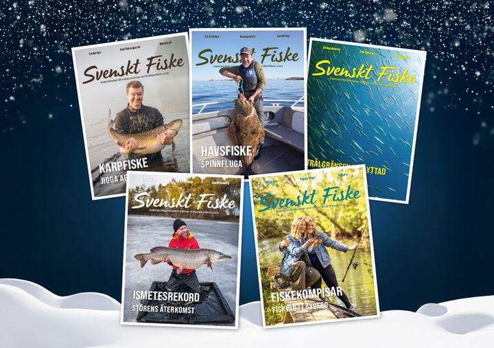 2025 blev ett rekordår för Svenskt Fiske, Sveriges största fisketidning.