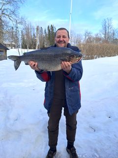 Gintaris Milvydas med en sik på  6 770 gram, nytt svenskt sportfiskerekord.