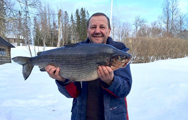 Gintaris Milvydas med en sik på  6 770 gram, nytt svenskt sportfiskerekord.